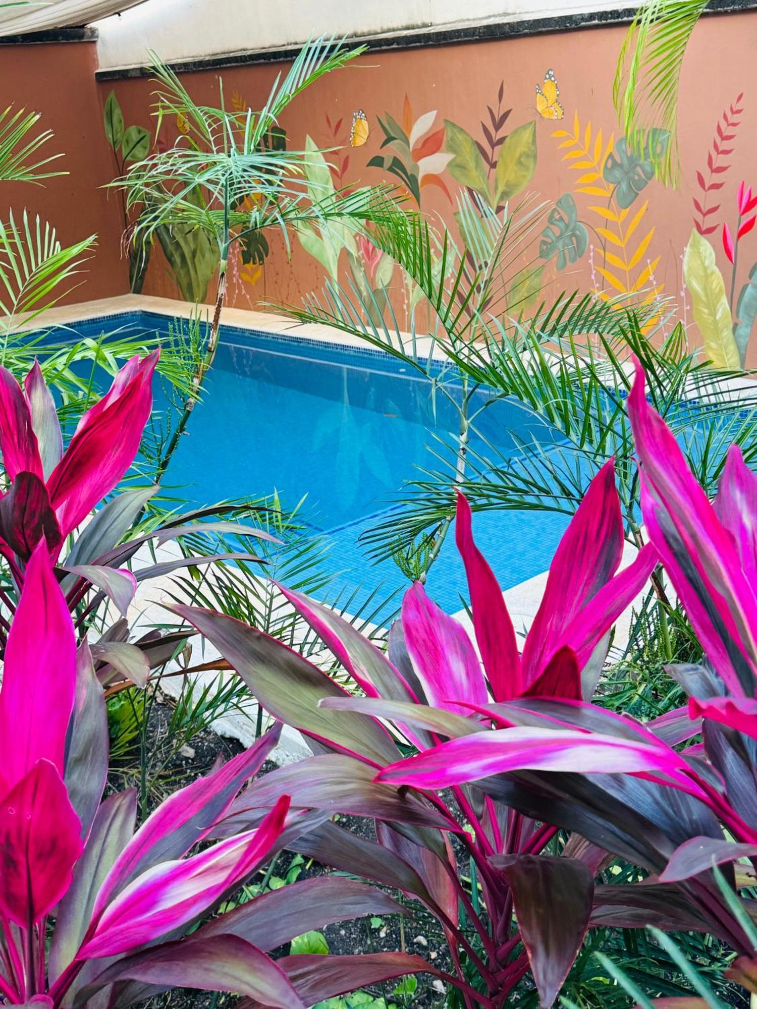 Bed and breakfast Butterfly House Playa del Carmen